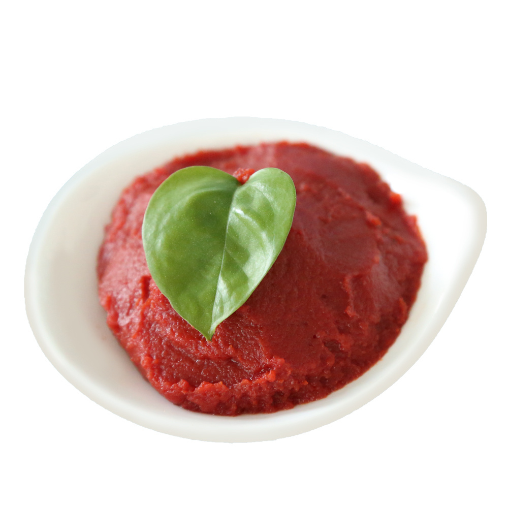 Tomato Paste Plant Tin Label Tomato Paste Manufacturer China Price 400g