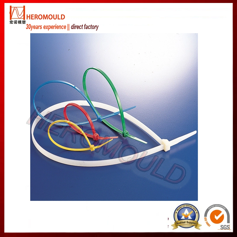 Plastic Mold Nylon Cable Ties Injection Mould Heromould