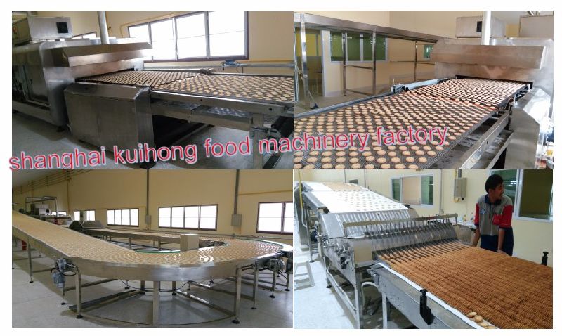 Kh Automatic Biscuit Processing Machine Manufacturer