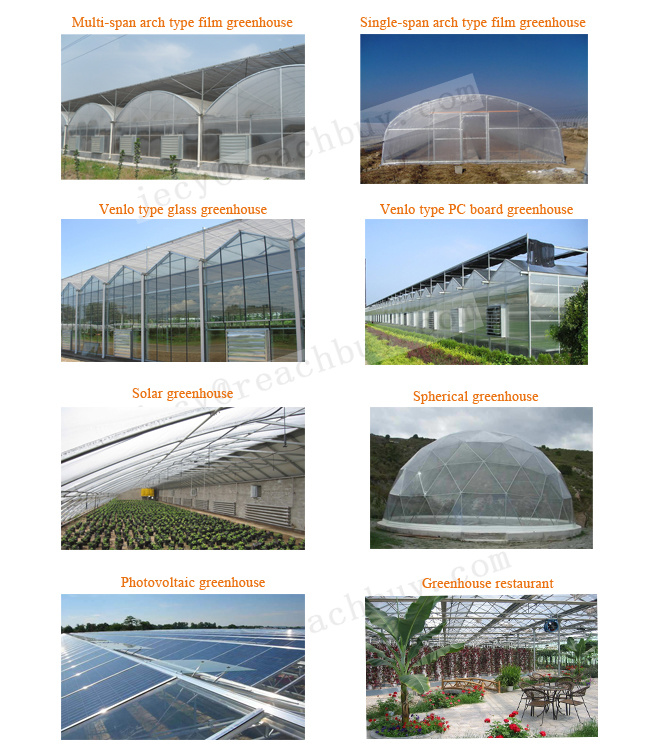 Greenhouse for Tomatoes, Green Beans, Green Peppers, Strawberries, Pumpkins, Chillies, Melons, Sweetcorn etc