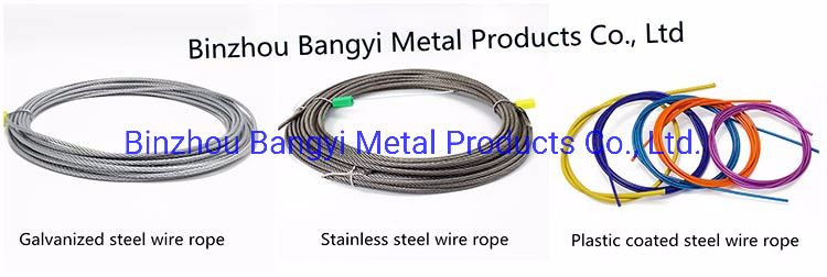 Steel Wire Galvanized/Plastic Coated Steel Wire Rope