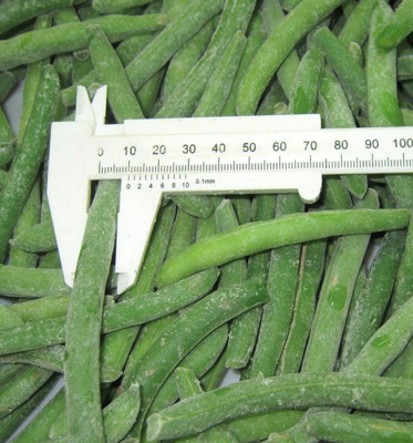IQF Green Beans Frozen Green Beans