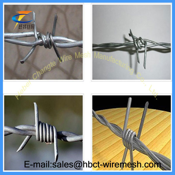 Hot Dipped Galvanized Barbed Wire/PVC Coated Barbed Wire Bwg 14X16