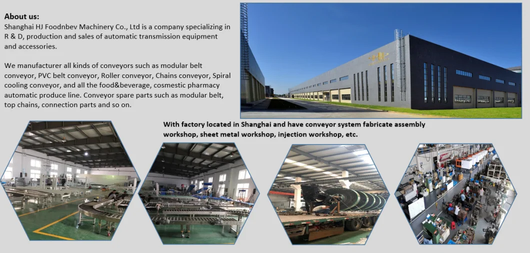 Factory Customized Conveyor Components /Plastic Chain/ Modular Belt/ Conveyor Belting