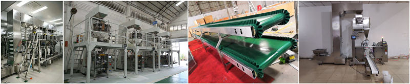 Incline Stainless Steel Belt Conveyor for Packing System