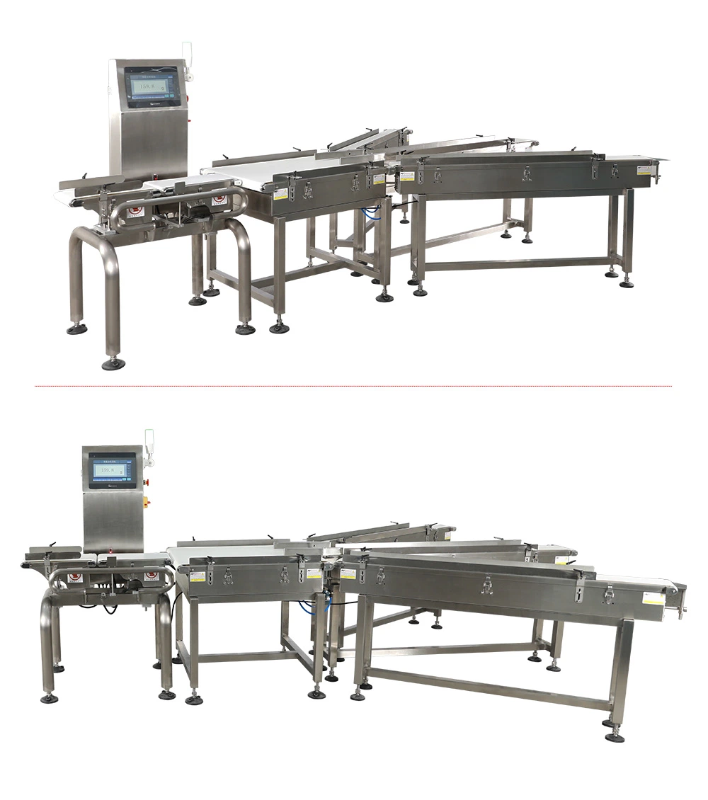 Conveyor Three Lane Dynamic Check Weigher for Food Packaging Machine