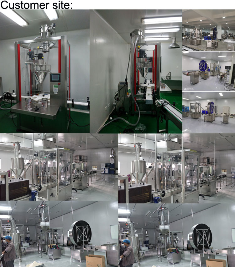 Automatic Powder Filling Machine Big Auger Filler with Screw Conveyor Feeder