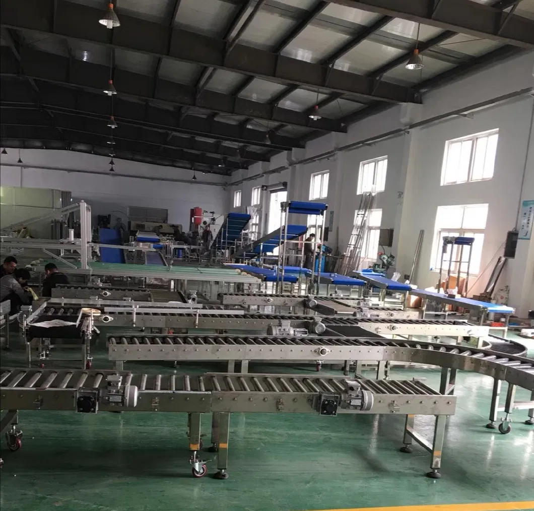 Factory Custom Chain Scraper Conveyor/En Masse Conveyor Supplier
