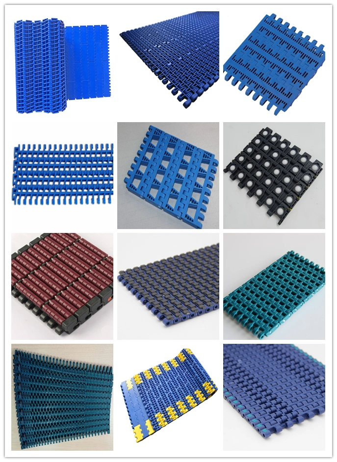 Factory Customized Conveyor Components /Plastic Chain/ Modular Belt/ Conveyor Belting