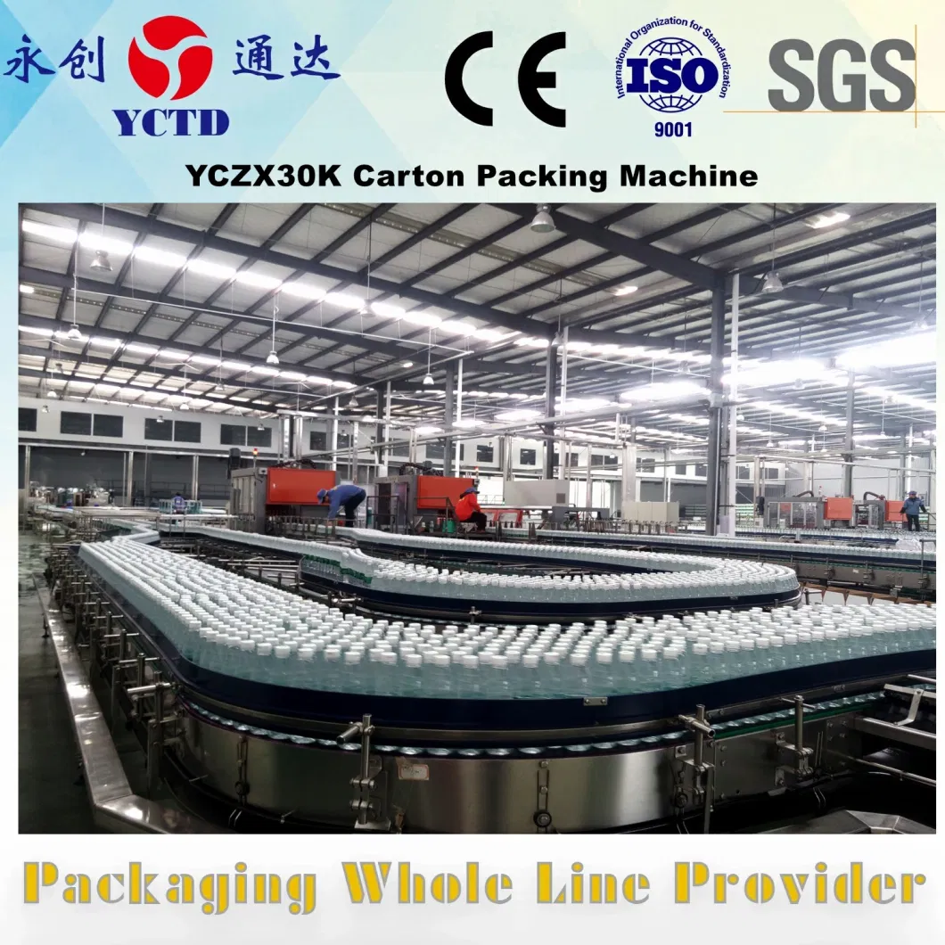 Conveyor used for Production Line Conveying bottles cartons box packaging industry plastic modular conveyor belt