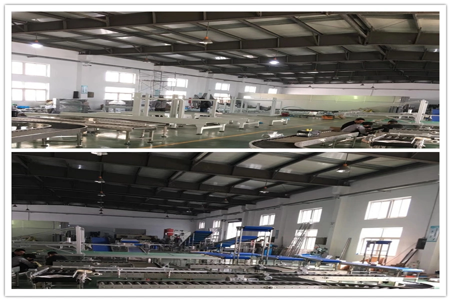 Pakistan Jelly Factory Named Conveyor Manufacturer Food Grade Modular Belt Conveyor Factory