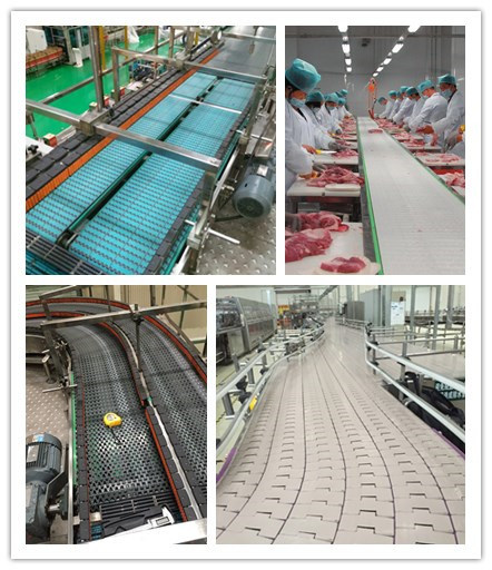 Hairise Customized FDA Powered Belt Plastic Conveyor with ISO