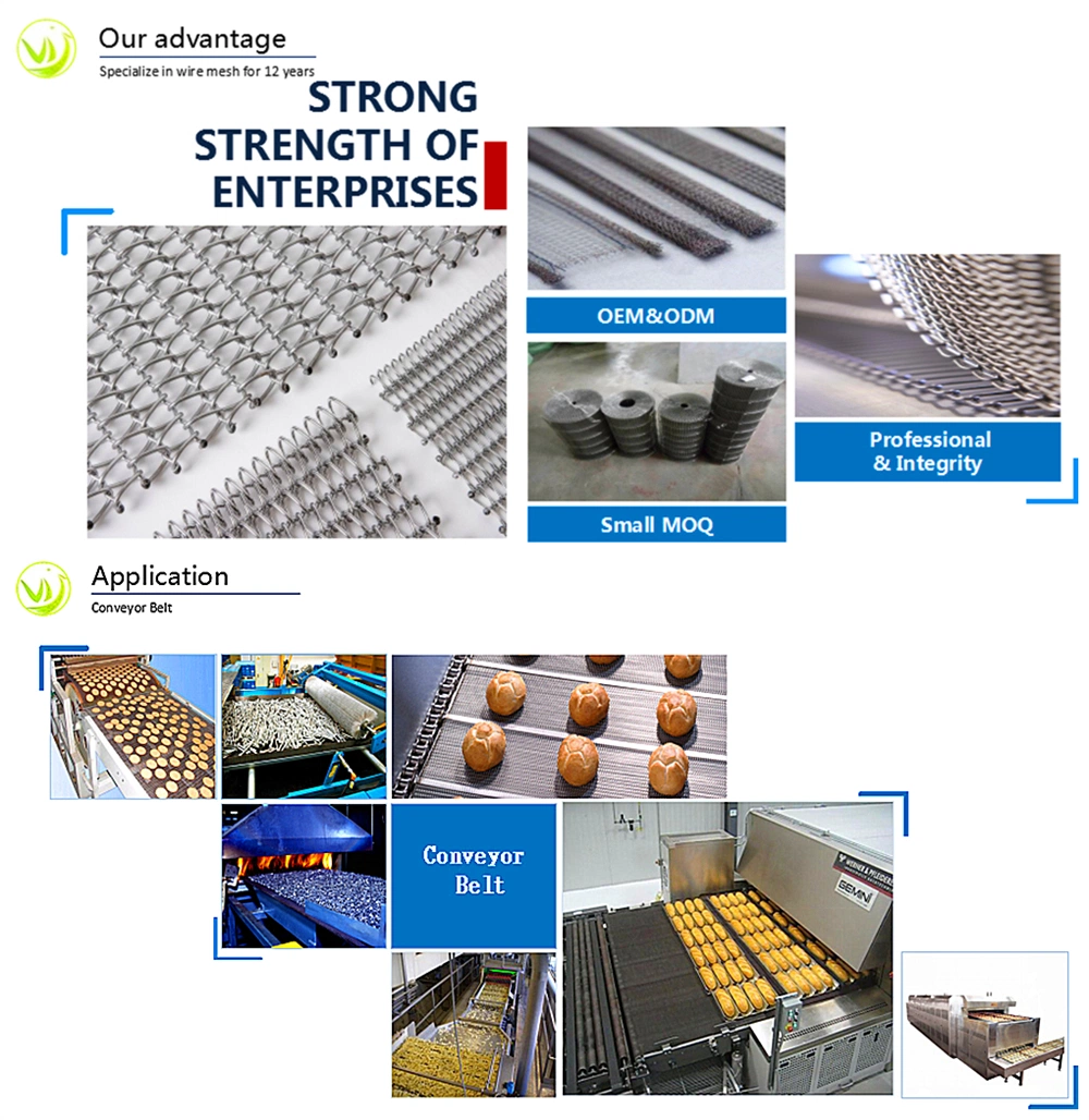 High Quality Stainless Steel Chain Conveyor Belt Mesh