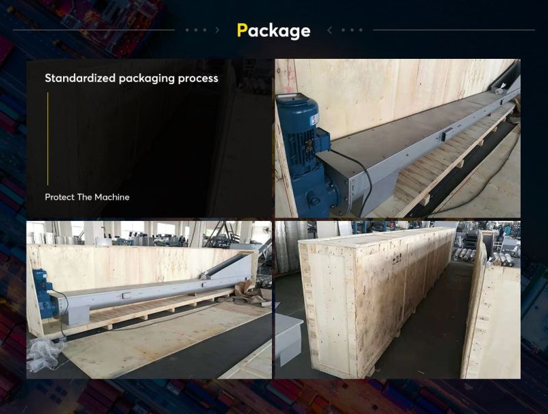 Horizontal Feed Conveyor and Auger Screw Conveyor for Sludge