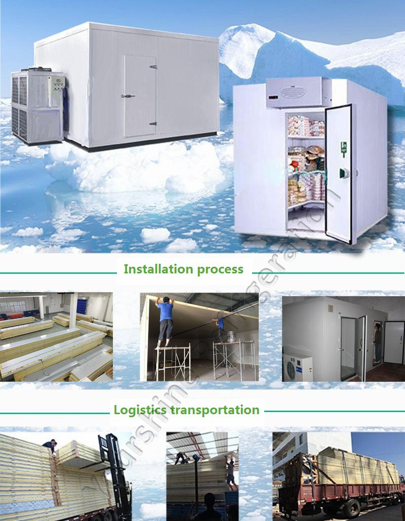 Cold Room, Cold Storage, Walk-in Freezer for Food