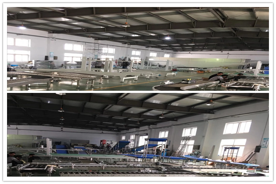 Stainless Steel Conveyor Chain Flat Top Chain Conveyor for Bottle Produce Line
