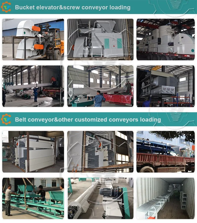 Manufacturers Incline/Flat Transfer Belt Conveyor for Bulk Materials