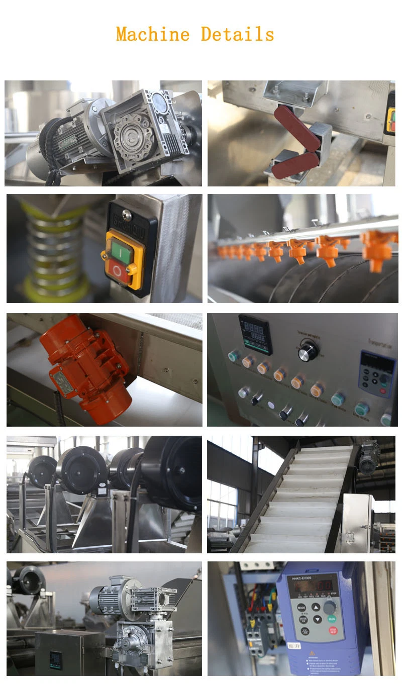 Manufacturer Food Industry Conveyor Belt Machine