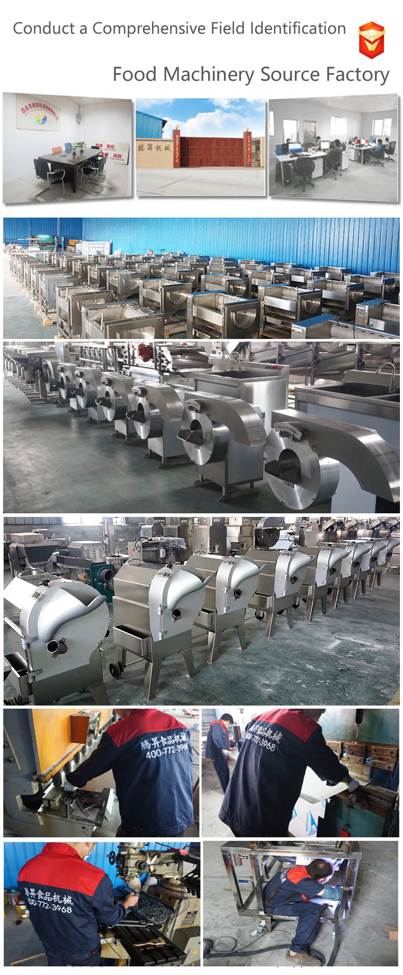 304 Stainless Steel Detachable Conveyor Belt Vegetable Cutting Machine (TS-Q118A)