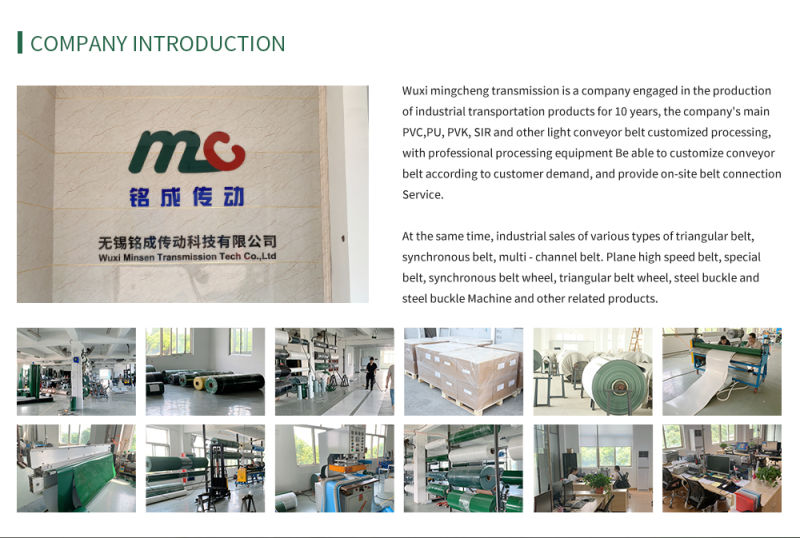 Factory China Cheap Perforated Circular Conveyor Belt with High Performance