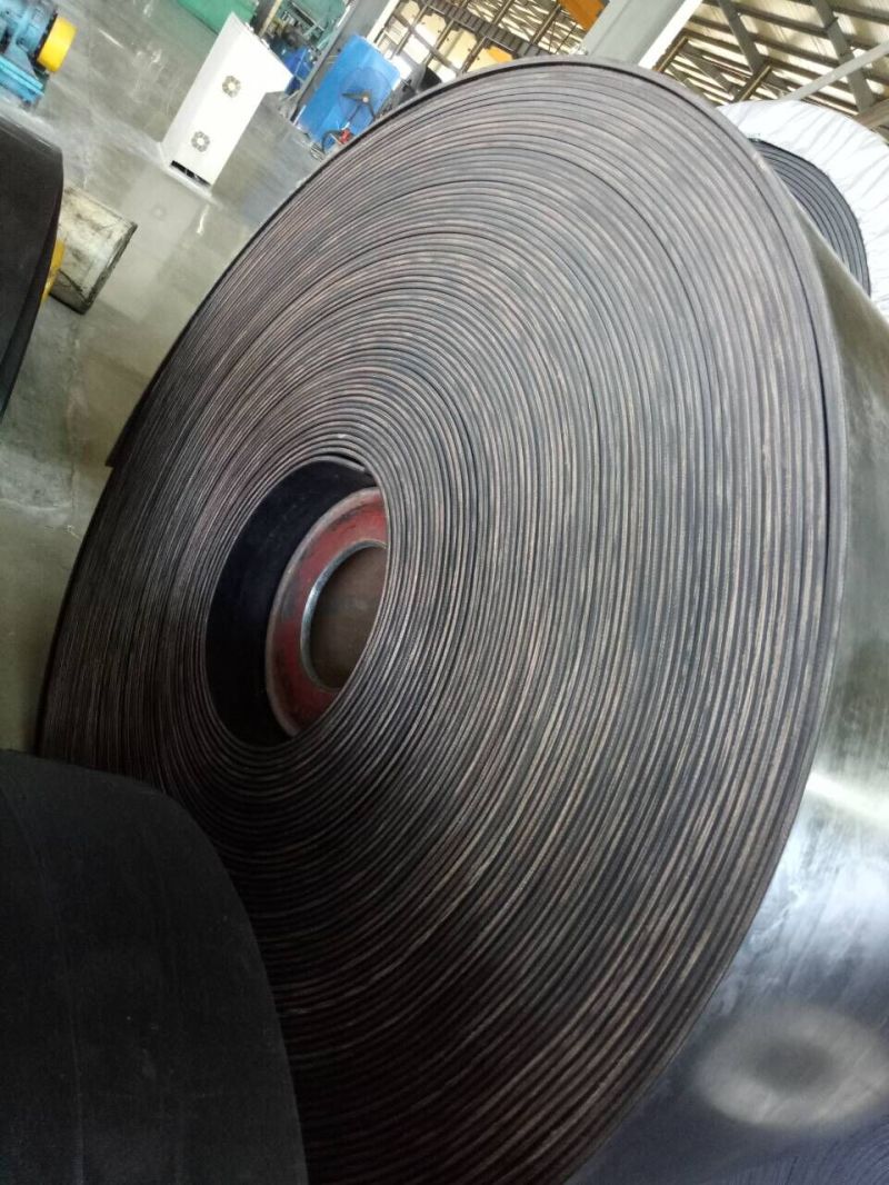 600mm Conveyor Belts 4+2mm, 24 Inch Conveyor Belts