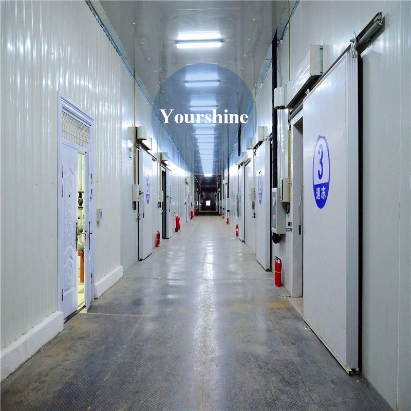 International Cold Chain Cold Storage for Food Fresh Keeping