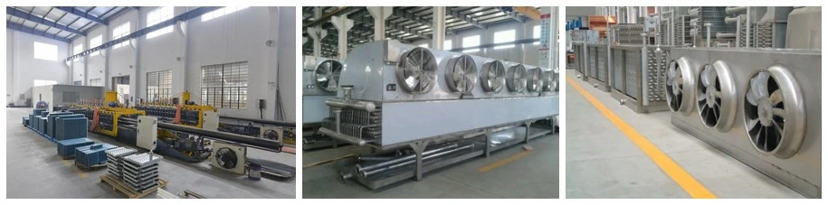 Industrial Blast IQF Tunnel Freezer for Rice Dumpling/Fish Ball/Corn with Qualified Stainless Steel Conveyor Belt