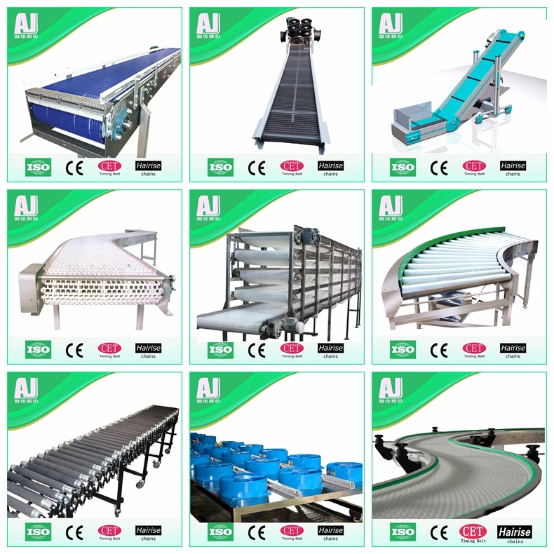 Plastic Flat Top Conveyor Modular Belt Supplier for Beverage Industry