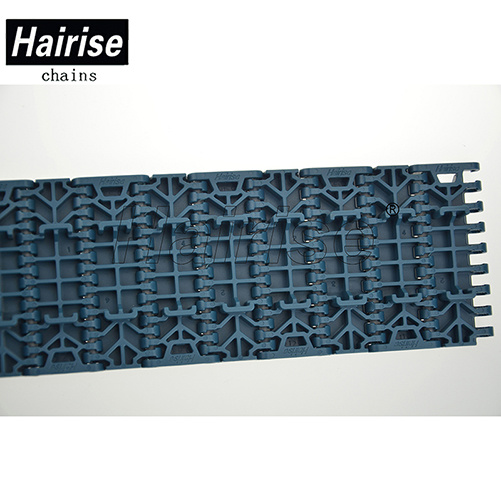 Hairise 1000 Plastic Modular Conveyor Belt with Positrack