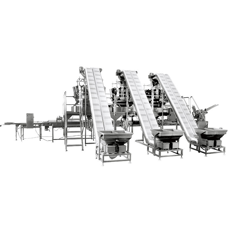 304 Stainless Steel Customized Inclined Conveyor with Plastic Belt