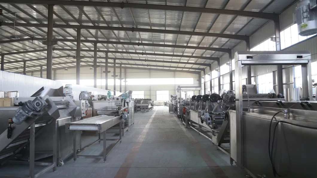 Manufacturer Food Industry Conveyor Belt Machine