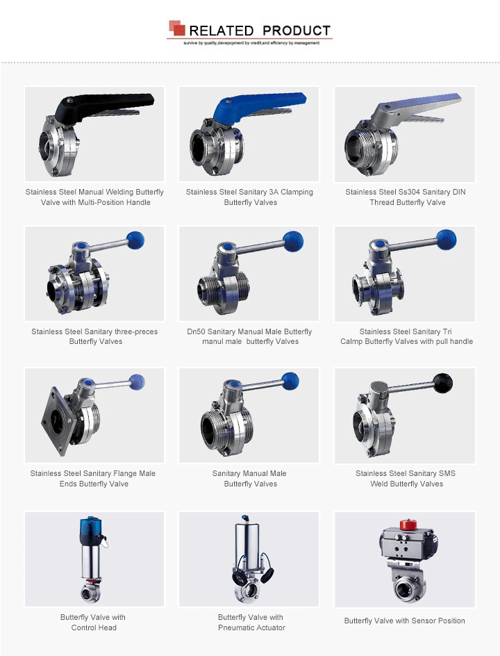 Clamping-Clamping Pneumatic Butterfly Valve with Horizontal Actuator Supplier