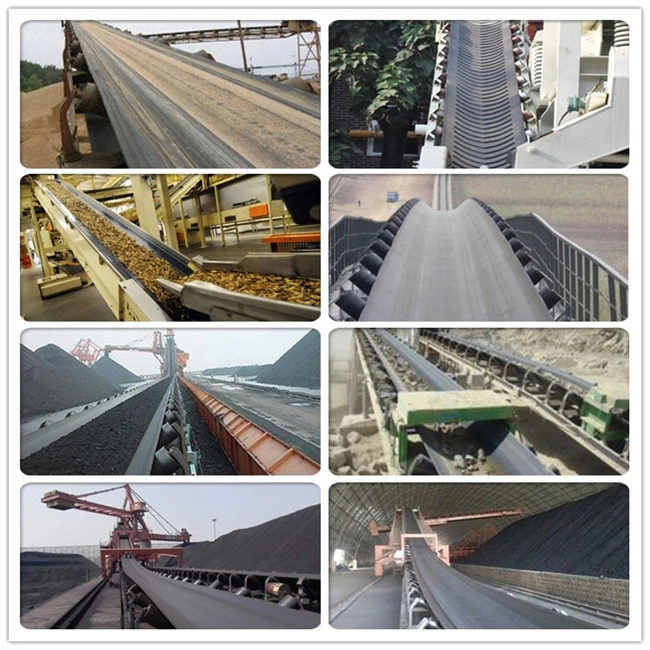 Conveyor Belting in Conveyor Belt, Nylon Conveyor Belt