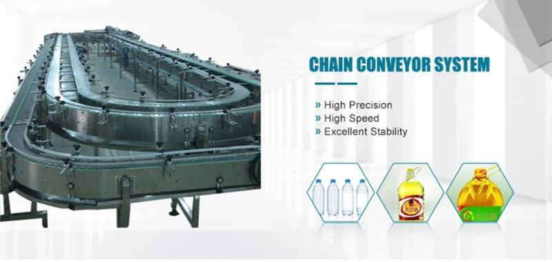 Chain Plate Conveyor Plastic Modular Chain Conveyor