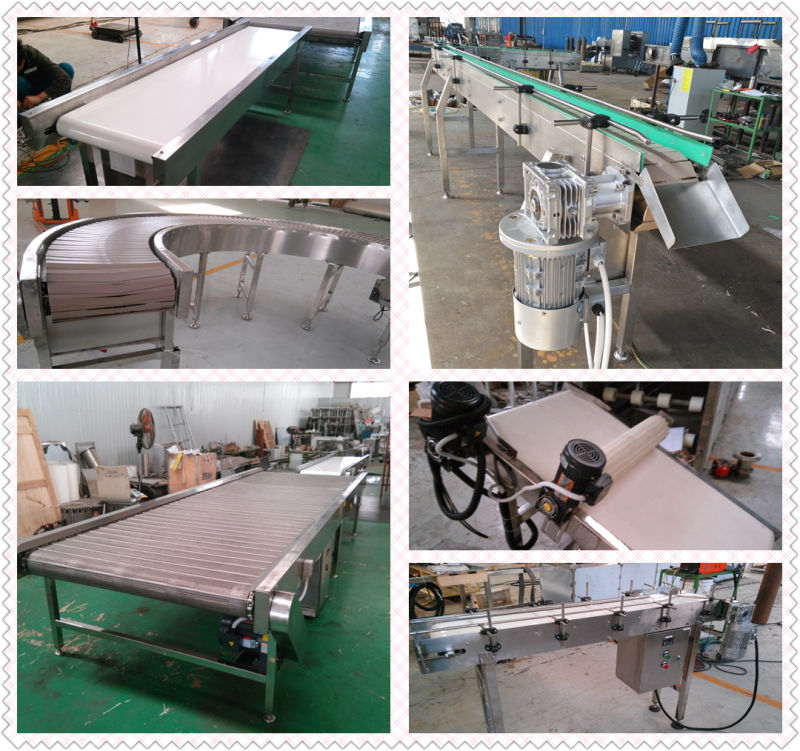 Scraping Belt Conveyor Lifting Machine Stainless Steel Custom-Made