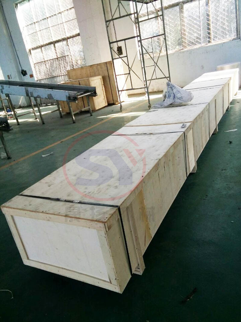 Simple Structure Horizontal Conveying Loading Unloading Roller Conveyor for Bags