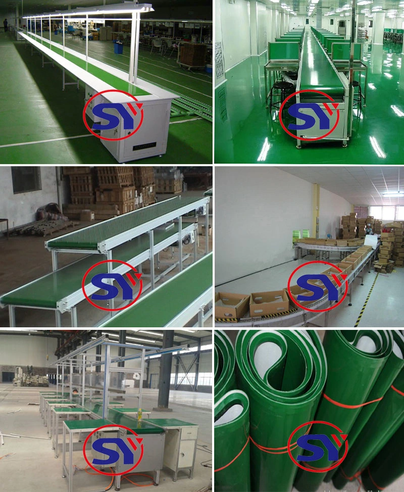Heavy Load Capacity Straight Movable Belt Conveyor with Frequency Inverter