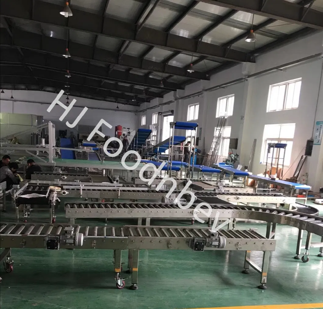 Food Grade Belt Conveyor for Fruit and Vegetable PVC PU TPU Belt Conveying Hoister