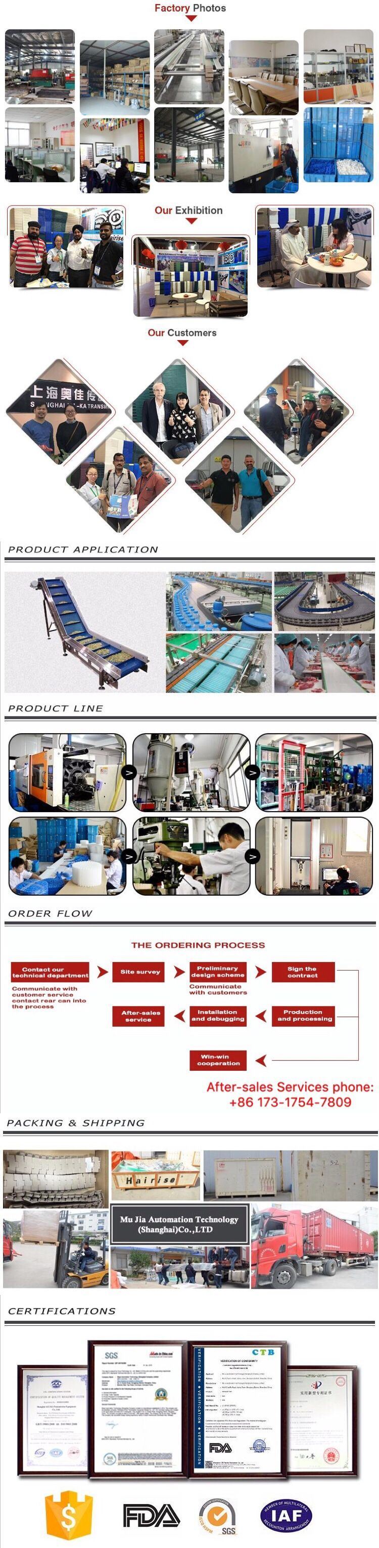 Hairise Plastic Belt Conveyor System for Beverage Industry