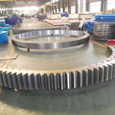 Conveyer Slewing Bearings Turntable Bearings for Crane