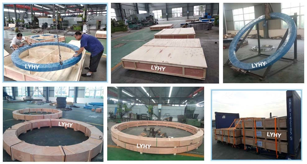 Slewing Rings Bearing Ball Bearing Turntable Bearing with Surface Treatment by Phosphating (010.20.844.03)