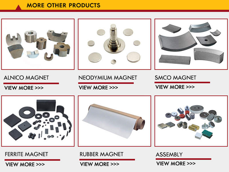 Experience Radial Oriented NdFeB/Neodymium Radial Ring Magnet