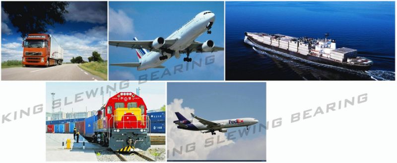 R450-7A 81nb-01022bg, Slewing Ring, Slewing Bearing, Swing Ring