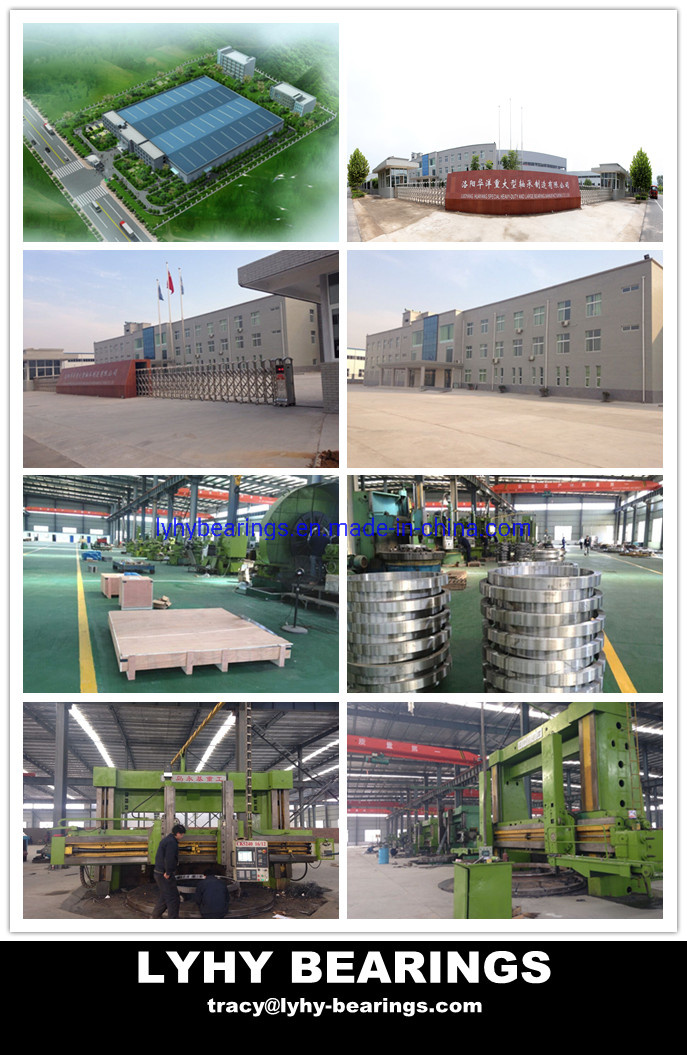 Gearless Slewing Bearing Slb 350	Turntable Bearings for Offshore Crane