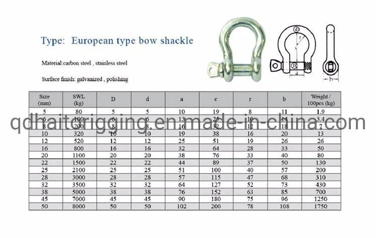 Precision Forged Stainless Steel Large Bow Shackle with Large Sale Volume