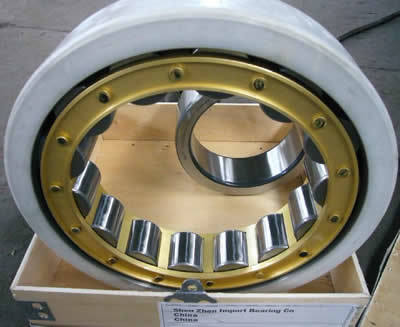 Crane Bearing Rn207 Em Cylindrical Roller Bearings NSK NTN N207
