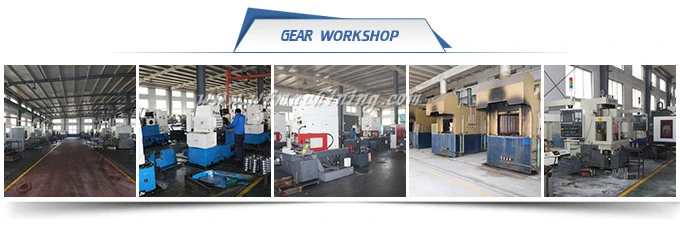 OEM Precision Metal Helical Gear Starter Drive Spur Gear/Spiral Bevel Gear/Crown Pinion Gear