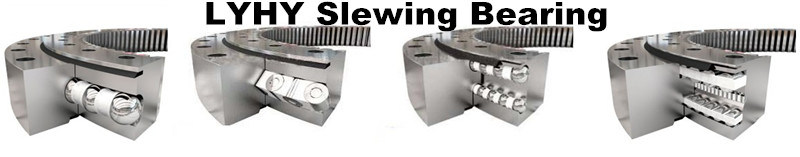 Slewing Bearing 060.25.0855.500.11.1503 Swing Bearing Without Gearing