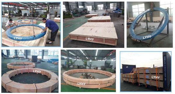 Imo Light Series Slewing Ring Bearing 91-32 1355/1-06155 Slewing Gear