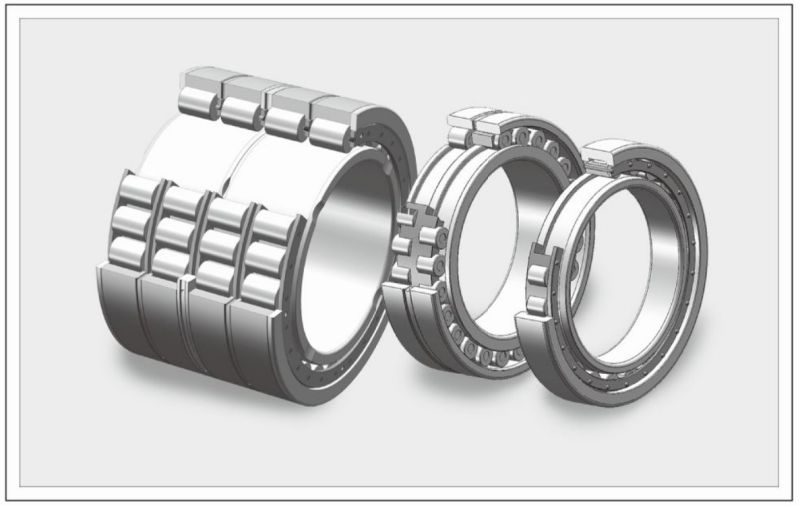 Rongji Single Row Cylindrical Roller Bearing with Baffle Ring Nh322e, Nuj422, Nuj2322e, Nh324
